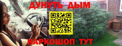 крисы Бердск