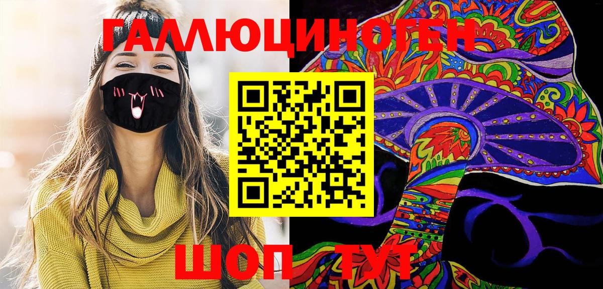 Галлюциногенные грибы Psilocybine cubensis  Вход с VPN  Благодарный 